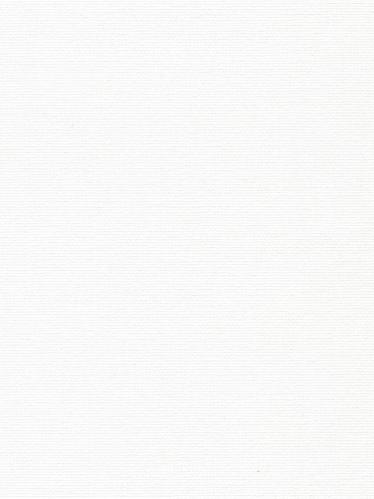 ОМЕГА FR 0225 белый, 250 см copy copy